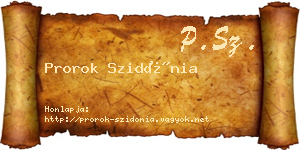 Prorok Szidónia névjegykártya